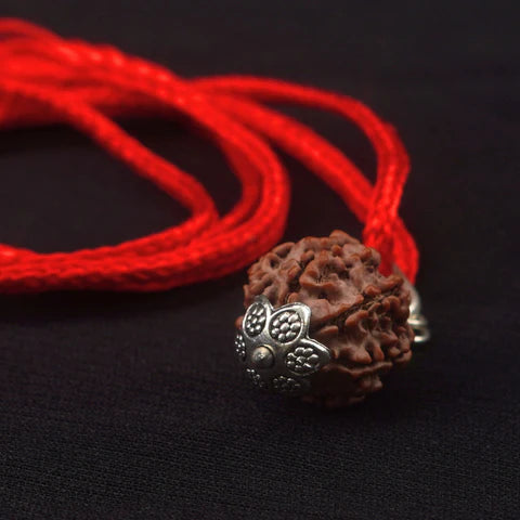 7 Mukhi Rudraksha pendent