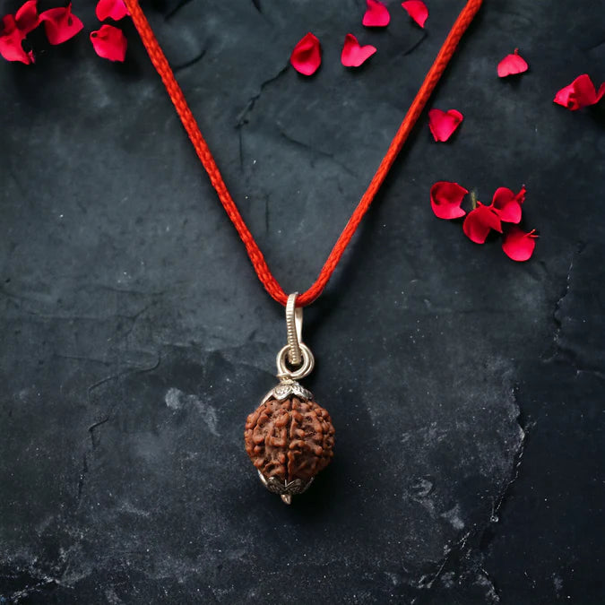 7 Mukhi Rudraksha pendent