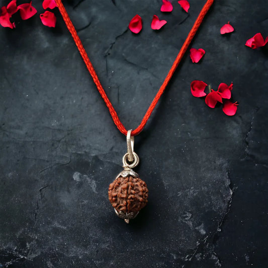 7 Mukhi Rudraksha pendent